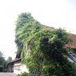 �prava vist�rie